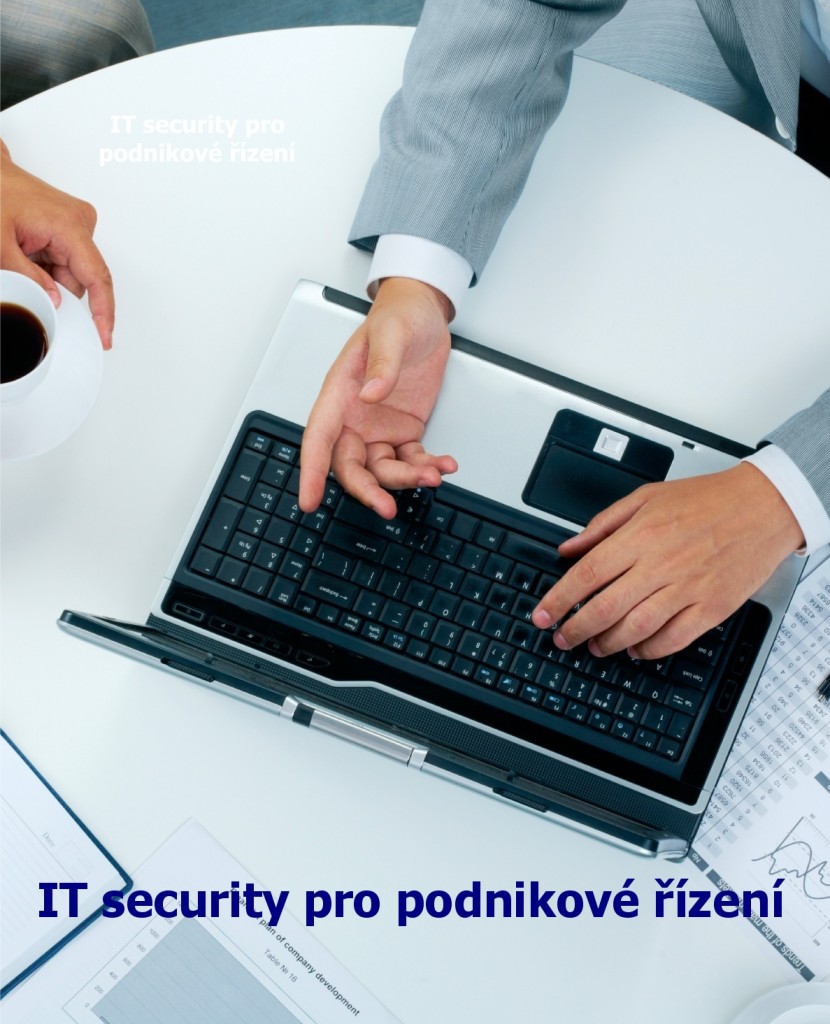 IT security pro podnikové řízení